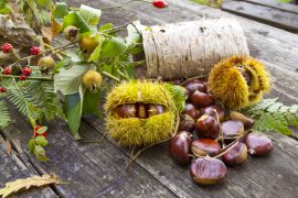 Autunno in Lessinia