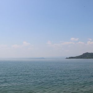 CIP1