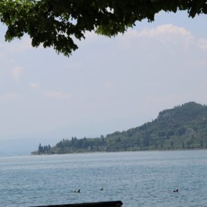 CIP2